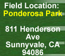 Ponderosa